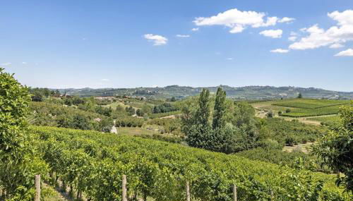 Casa Carbone - Foto 3