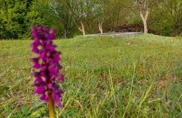 Apartment Rosie - Foto 29