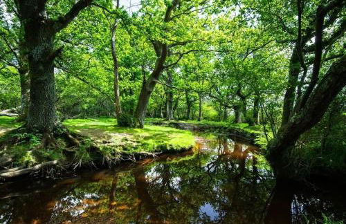 Welcome - BUSINESS or PLEASURE! Southampton 'City Vibes' # Stylish Apartment with Outdoor Courtyard! 1-4 Guests BOOK YOUR CITY BREAK or PRE-CRUISE STAY! CLOSE TO MAYFLOWER THEATRE, UNIVERSITIES, CRUISE TERMINALS, HOSPITALS & SHOPS! - Photo 43