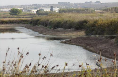Porta dei Mari - Foto 53