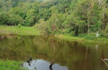 Sitio Lady Laura Biritiba Ussu Mogi - Foto 15