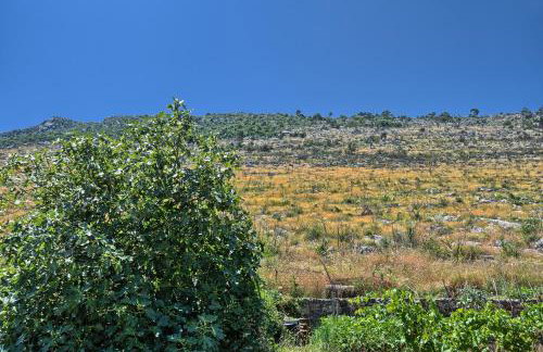 Luxury Mountain View Escape with Private Jacuzzi Split area - Photo 44