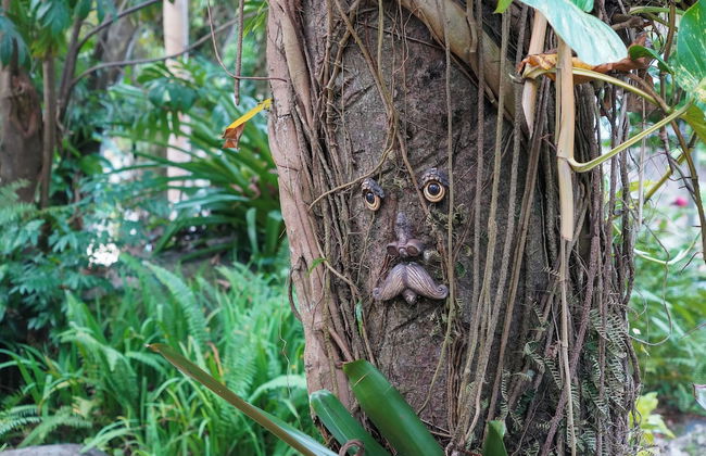 Casa Parcha - Photo 16