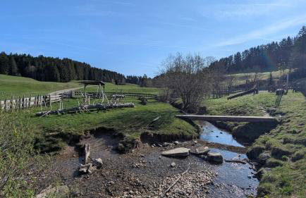 Alpenflair im Ferienpark Oberallgäu- Pool- Sauna- Bikepark- Skilift- Loipe- Wanderwege- stilvoll und kinderfreundlich - Foto 63