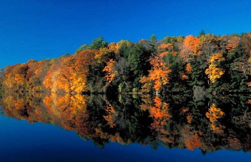 Riverfront Cabin with Beautiful Views of Housatonic River in Great Barrington, Massachusetts - Foto 41