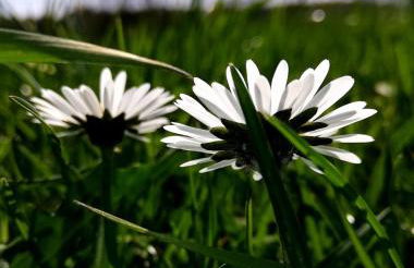 Odenwald Lounge im Naturpark Bergstraße-Odenwald - Photo 21
