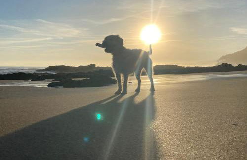 Olas y flores silvestres 1 - Foto 25