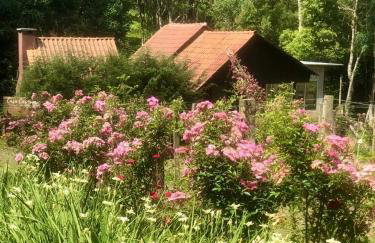 Chalé com Vista para Vinhedo e Natureza - Foto 1