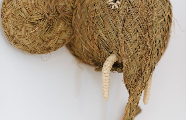 Apartamentos Casa del Relator - Foto 39