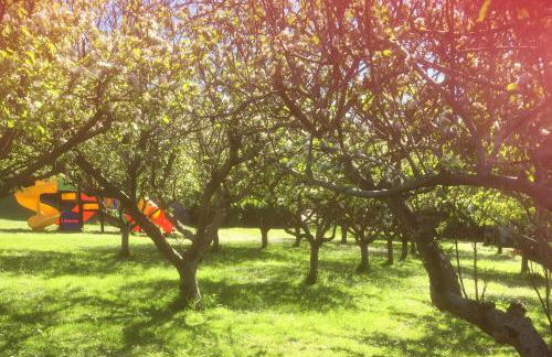 Casa Vacacional Mazo de Arriba - Foto 44