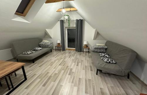 Agroturystyka PLENER - Foto 52