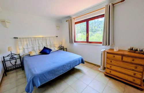 Vale dos Sentidos - Foto 50