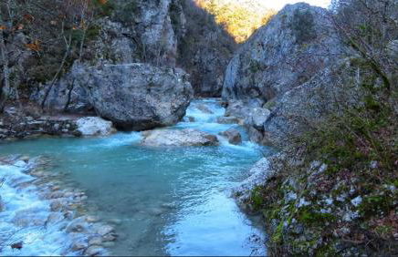 La Salamandre de l Olivier - le Mimosa - Foto 26