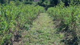 Casa de Rompecias - Foto 4