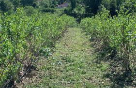 Casa de Rompecias - Foto 4