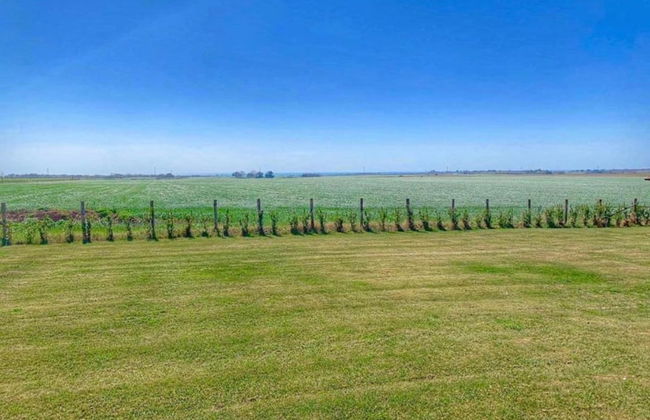 Farmhouse Near Montalto di Castro Beaches - Foto 41