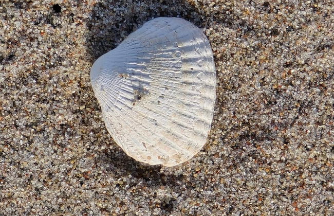 Beachfront Bliss - By Traum Ferienwohnungen - Foto 8