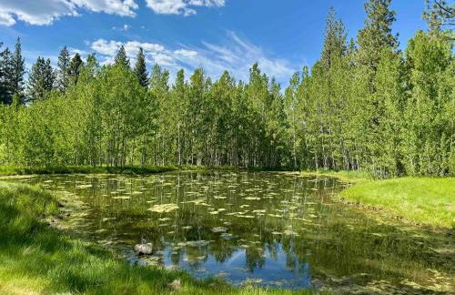 Lofty Retreat, Condo in Northstar - Foto 29