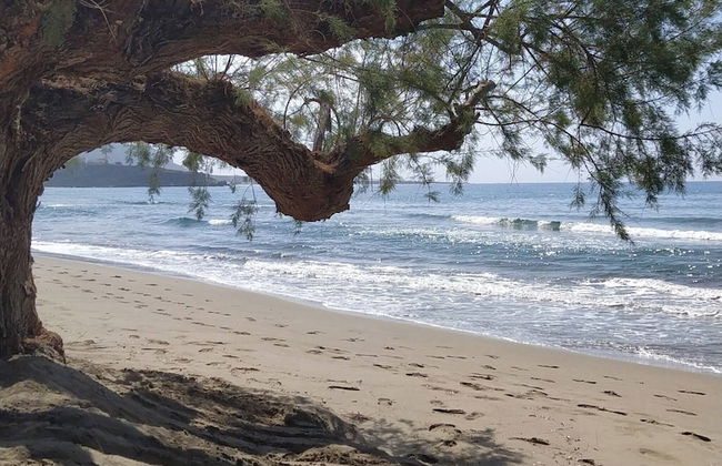 Sea View And Mountain View Apartment For 4 People - Photo 44