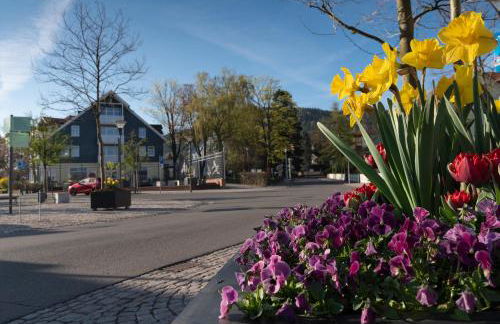 Tom´s Ferienappartements - Photo 14