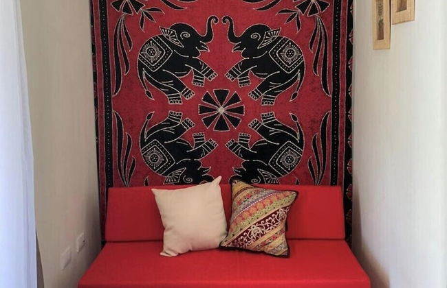 Morning Glory - Foto 40