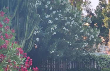 La Perla di Ponente - Photo 52