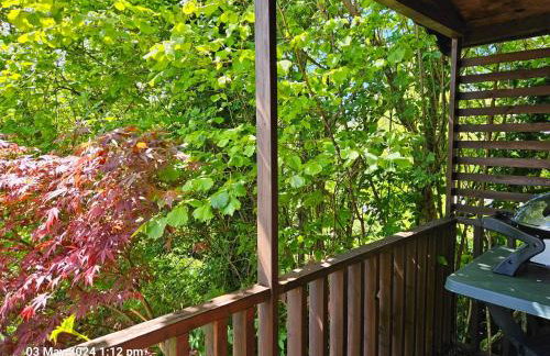 Treetops Lodge, private Cornish hideaway, parking, garden - Foto 54