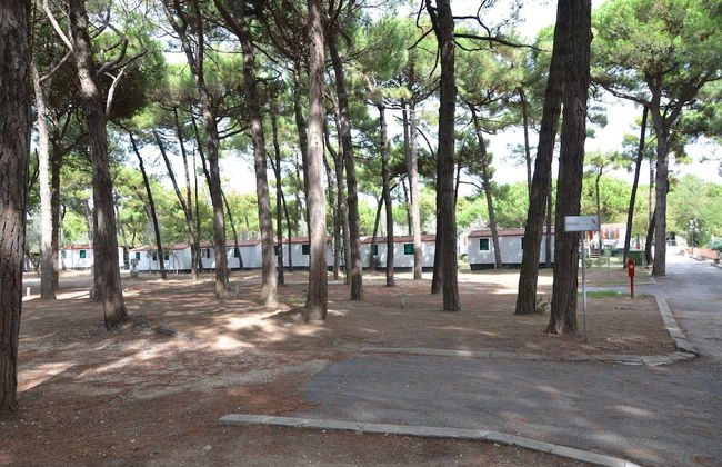 Bungalow in Po Delta Park With Beach Access - Foto 52