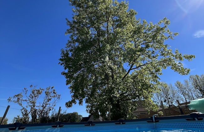 Cottage-Gite -Chez Flo et Marc - Foto 14