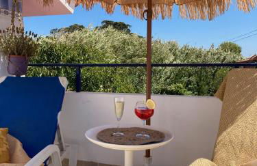 Bico das flores - Foto 66