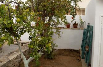 Iliopetra House - Photo 39
