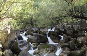 Allotjament SV - Foto 20