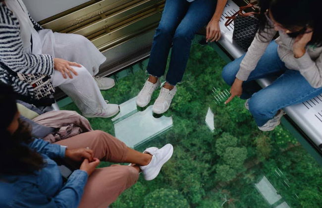 Lantau Island Private Tour - Foto 3