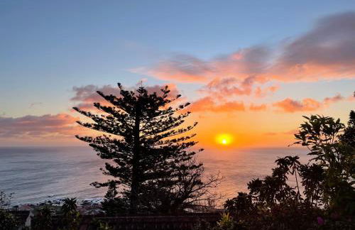 A QUINTA DAS FLORES- Casa do Miradouro - Foto 3