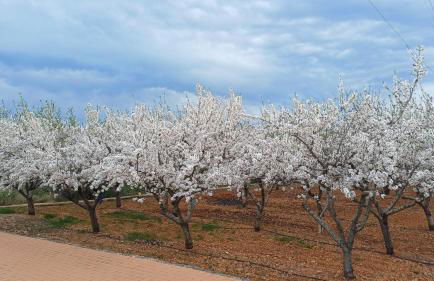 Ferienwohnung mit Privat-Pool - Foto 14