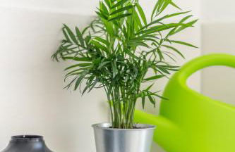 Akram Appartement I - Zentral und Ruhig - Foto 22