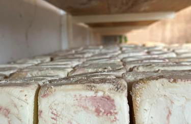 Appartement T2 Bord de Mer - Maria Beach - Foto 40