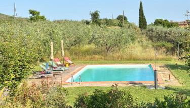 Eri tra gli Ulivi - Foto 3