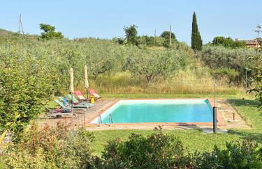 Eri tra gli Ulivi - Photo 3