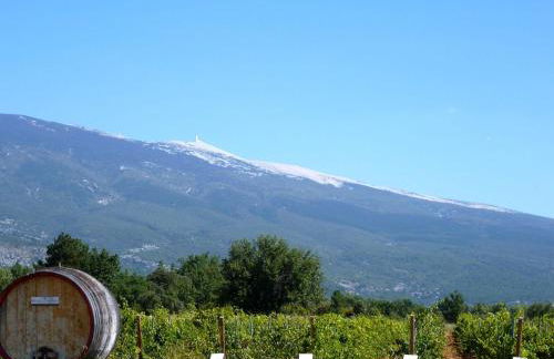 Holiday Home in Puymeras With Garden - Foto 48