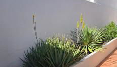 Serena Home - Foto 5