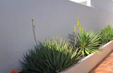 Serena Home - Foto 5