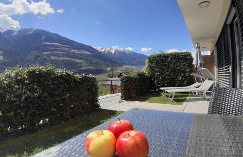 Weinreichhof - Foto 40