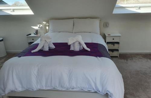 Large private home with small lake and garden - Photo 44