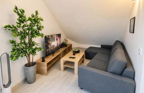 Loft avec Mezzanine - Vue Loing - Commerces à pied - Foto 9