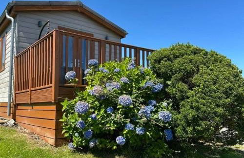 42 pine lodge & sea views - Foto 6