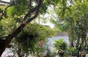 Casinha de Setiba - Foto 35