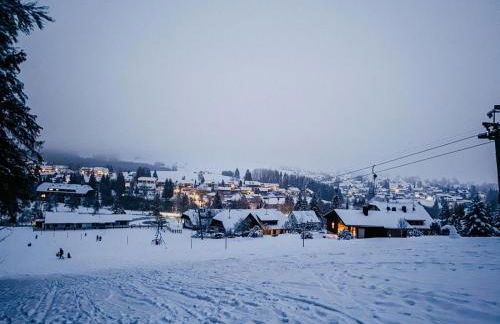 Ferienwohnung "Am Skilift" - Foto 45