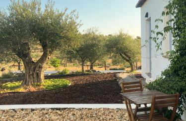 Monte da Estrela - Country House & SPA - Foto 48