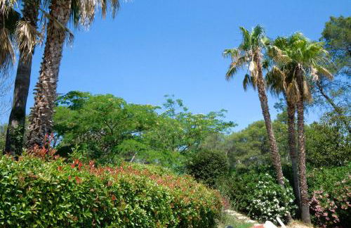 Appt Studio avec Balcon Parking privé, Piscine, proche Golf St Donat - Foto 20